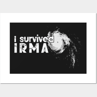 I Survived Hurricane Irma Posters and Art